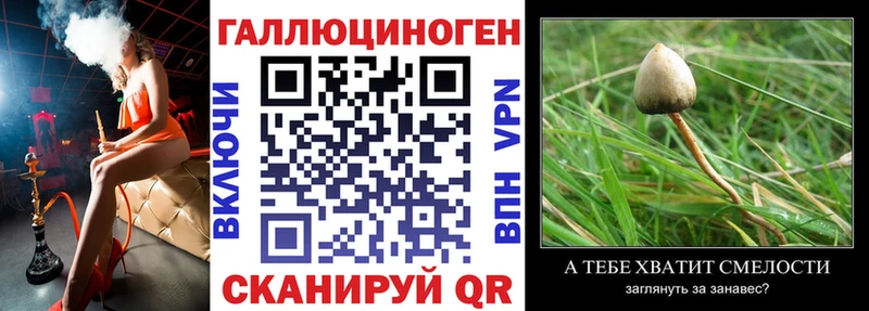 Галлюциногенные грибы GOLDEN TEACHER  сколько стоит  Пересвет 